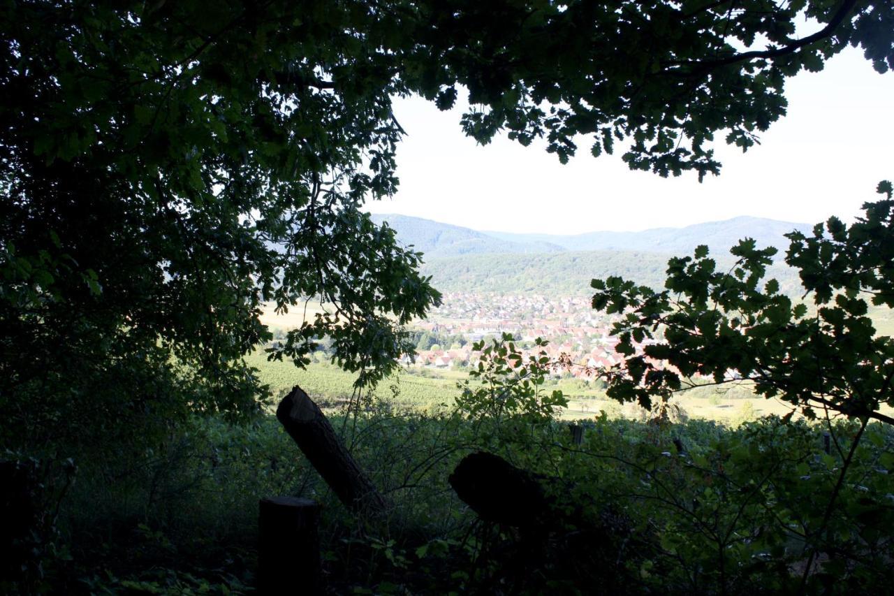 Cocon D'Argile Bed & Breakfast Bischoffsheim ภายนอก รูปภาพ